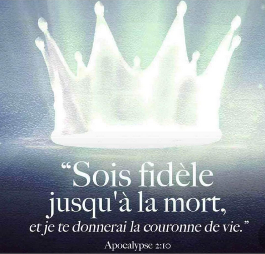 fidele-mort-couronne-vie