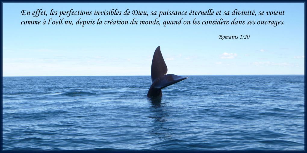 dieu-se-voit-oeil-nu