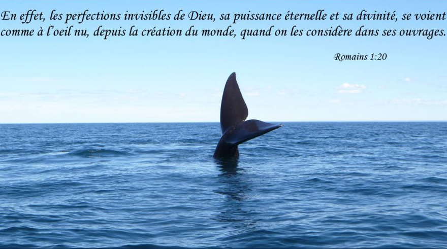 dieu-se-voit